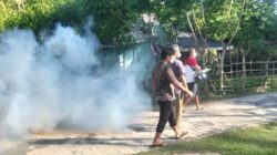 Pemerintah Desa Kepala Pasar Lakukan Fogging Cegah DBD