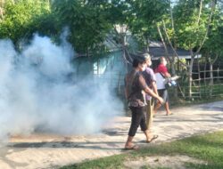 Pemerintah Desa Kepala Pasar Lakukan Fogging Cegah DBD