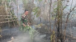 Sinergi Babinsa dan Tim Gabungan Atasi Kebakaran Lahan di Padang Petron