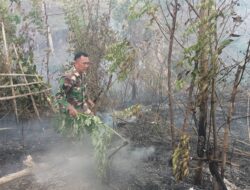 Sinergi Babinsa dan Tim Gabungan Atasi Kebakaran Lahan di Padang Petron